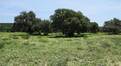 Liquidazioni indennità per occupazione temporanea