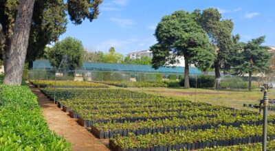 🌿 Biodiversità, territorio e resilienza: ARIF Puglia apre le porte del Vivaio Forestale Regionale “Galiò” di Lecce