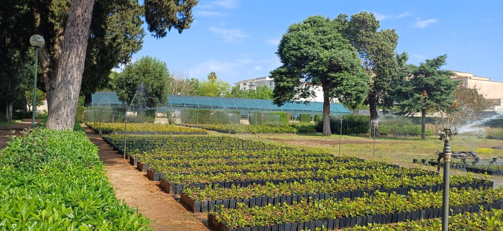 🌿 Biodiversità, territorio e resilienza: ARIF Puglia apre le porte del Vivaio Forestale Regionale “Galiò” di Lecce